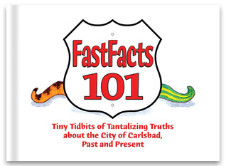 FastFacts-Books-TWT